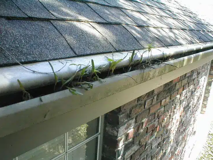 Do Gutter guards work